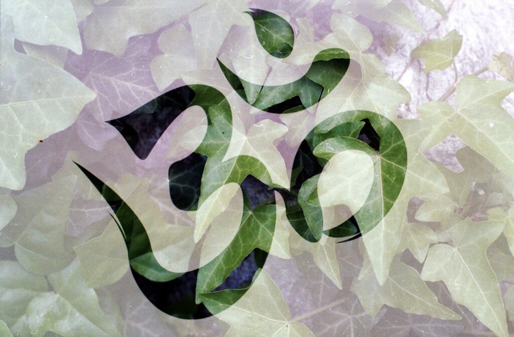 ohm